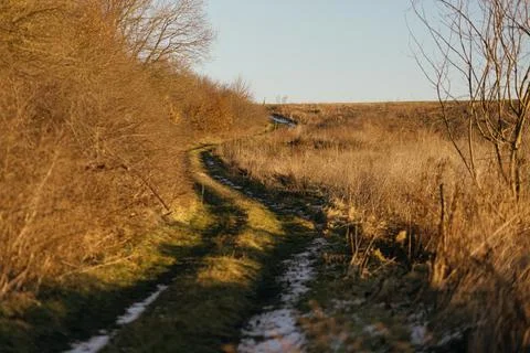 Forest and fields in early spring Stock Photos