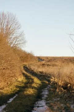 Forest and fields in early spring Stock Photos
