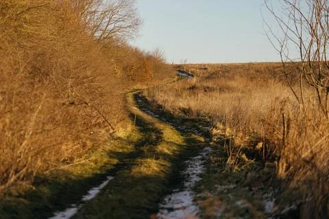 Forest and fields in early spring Stock Photos