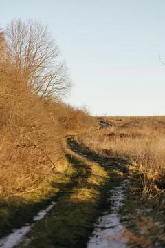 Forest and fields in early spring Stock Photos