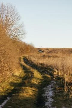 Forest and fields in early spring Stock Photos