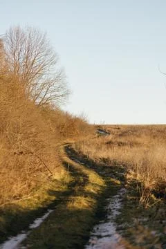Forest and fields in early spring Stock Photos