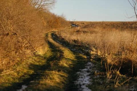 Forest and fields in early spring Stock Photos