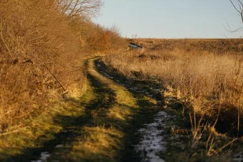 Forest and fields in early spring Stock Photos