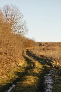 Forest and fields in early spring Stock Photos