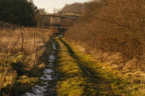 Forest and fields in early spring Stock Photos