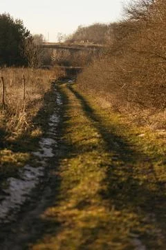 Forest and fields in early spring Stock Photos