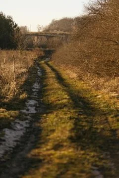 Forest and fields in early spring Stock Photos
