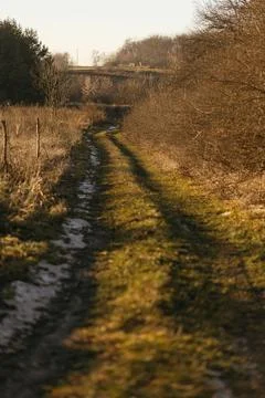 Forest and fields in early spring Stock Photos