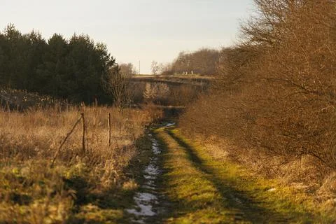 Forest and fields in early spring Stock Photos