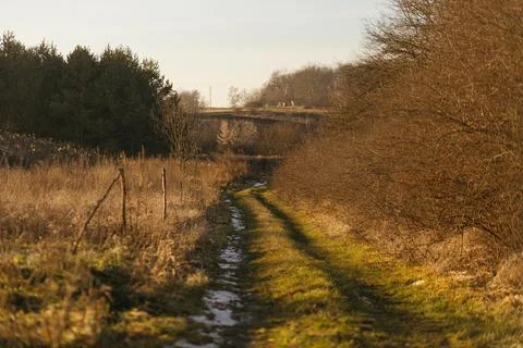 Forest and fields in early spring Stock Photos