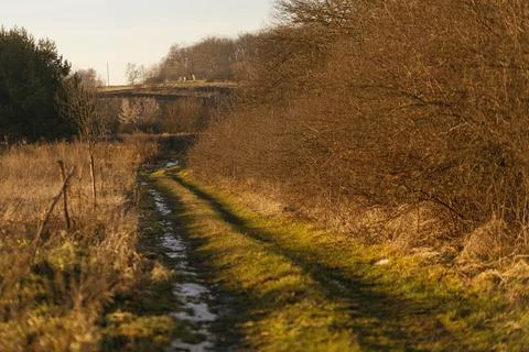 Forest and fields in early spring Stock Photos