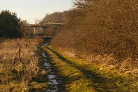 Forest and fields in early spring Stock Photos