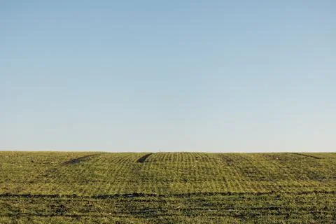 Forest and fields in early spring Stock Photos