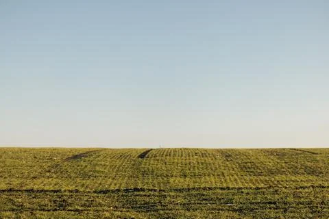 Forest and fields in early spring Stock Photos