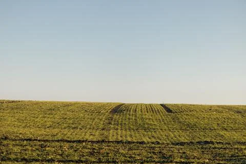 Forest and fields in early spring Stock Photos