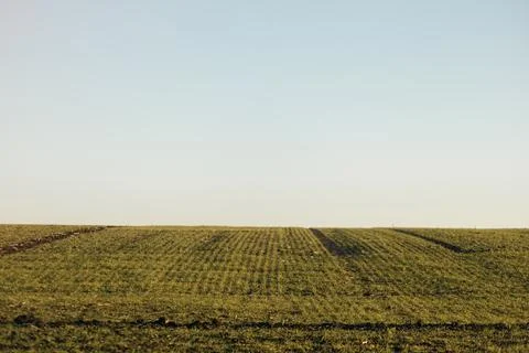 Forest and fields in early spring Stock Photos