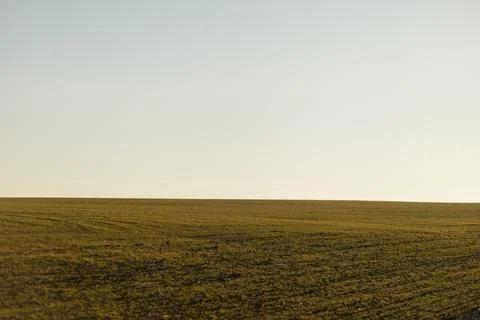 Forest and fields in early spring Stock Photos