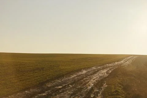Forest and fields in early spring Stock Photos