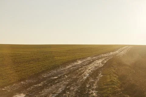Forest and fields in early spring Stock Photos