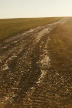 Forest and fields in early spring Stock Photos