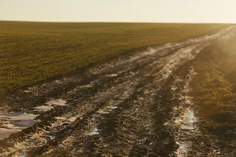 Forest and fields in early spring Stock Photos