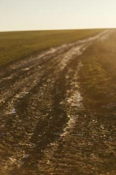 Forest and fields in early spring Stock Photos
