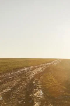 Forest and fields in early spring Stock Photos