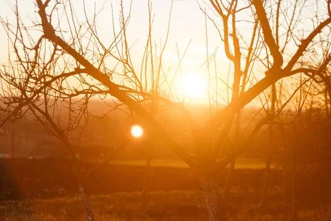 Forest and fields in early spring Stock Photos
