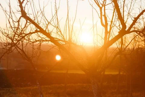 Forest and fields in early spring Stock Photos