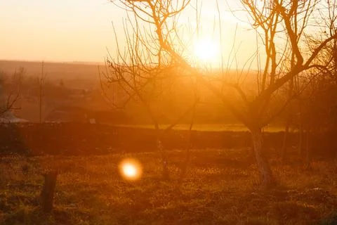 Forest and fields in early spring Stock Photos