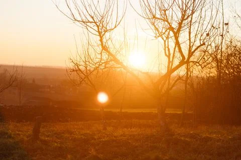 Forest and fields in early spring Stock Photos