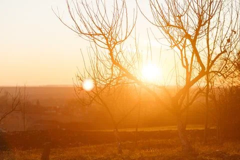 Forest and fields in early spring Stock Photos