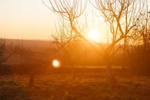 Forest and fields in early spring Stock Photos