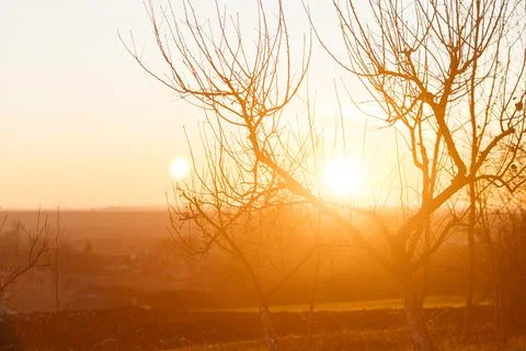Forest and fields in early spring Stock Photos