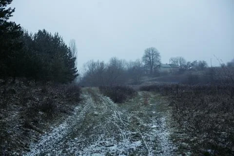 Forest and fields in early spring Stock Photos