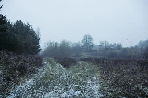 Forest and fields in early spring Stock Photos