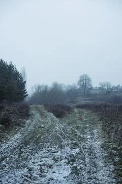 Forest and fields in early spring Stock Photos