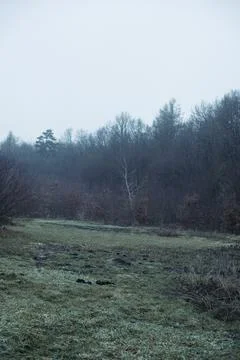 Forest and fields in early spring Stock Photos