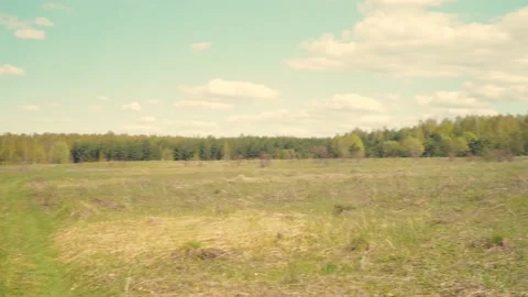 Forest and fields of the middle lane in spring. Young leaves have blossomed. Stock Footage 194114205