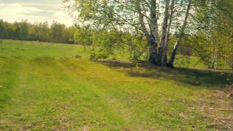 Forest and fields of the middle lane in spring. Young leaves have blossomed. Stock Footage 194114888