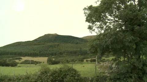 Forest and fields on Mountain, Mourne, Co Down Stock Footage 509027