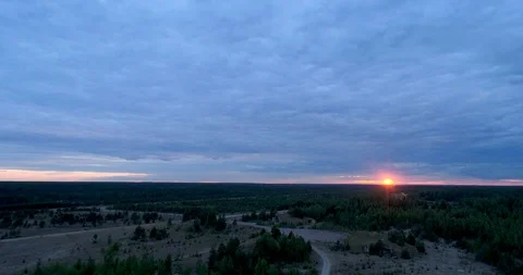 Forest and fields at sunset. Aerial view. 動画素材 98126590