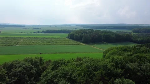 Forest and fields a tractor is driving across the field Stock Footage 155598027