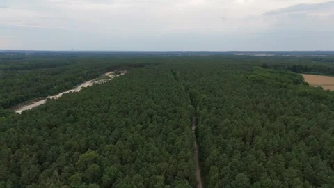 Forest and fields under a bright overcast sky in Saxony Stockbeeldmateriaal 340646883