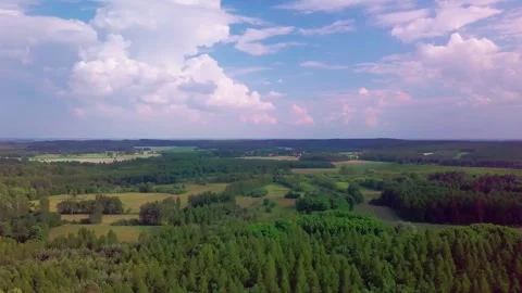 Forest and fields under nice cloudy sky, storm clouds. Aerial landscape. Stock Footage 276939493