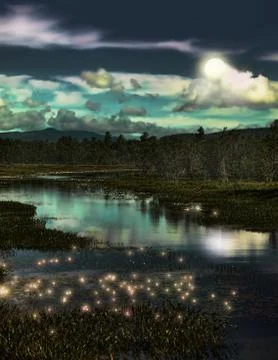 Forest and fireflies Stock Photos