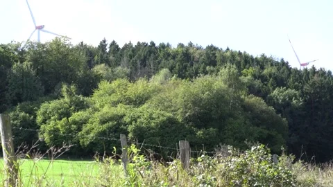 Forest and Forest and in the background a wind turbine Stock Footage 251388699