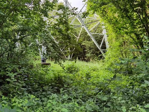 Forest and forest paths in summer in Germany Stock Photos