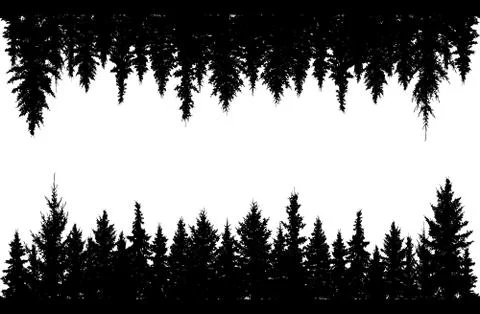 Forest and forest upside down. Black silhouettes of spruce trees. Vector illu Stock Illustration